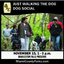 Dog Social Just Walking the Dog