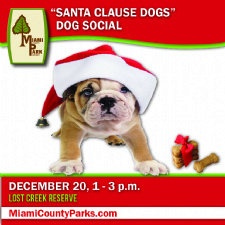 Dog Social Santa Clause Dogs