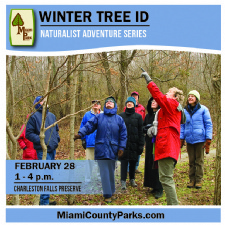 Naturalist Adventure Series Winter Tree Identification