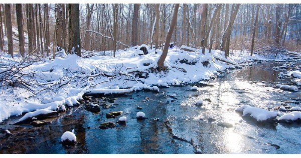 Healthy New Year Hike