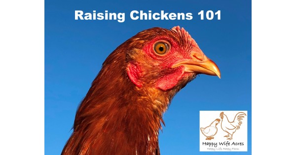 Raising Chickens 101 Course