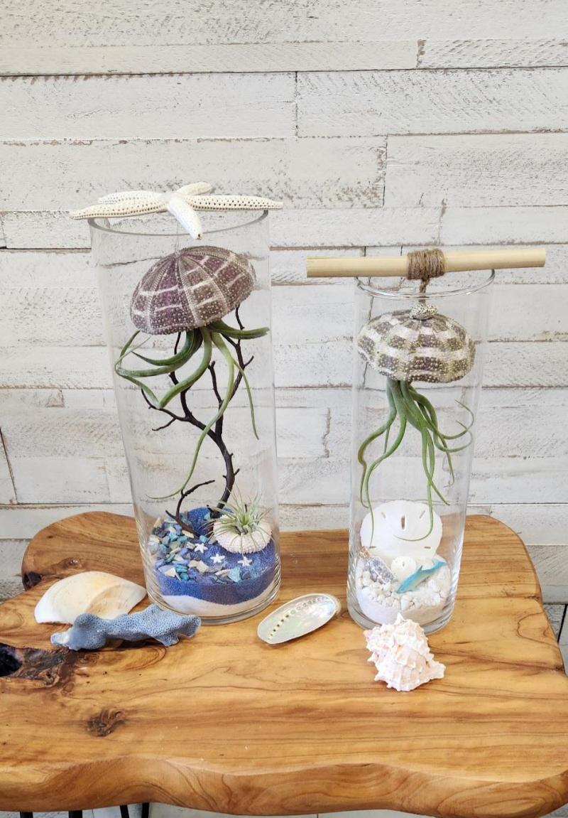 Jellyfish Terrarium Workshop