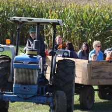 McMonigle Farms Pumpkin Fest