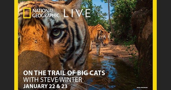 Nat Geo Live: On The Trail Of Big Cats With Steve Winter