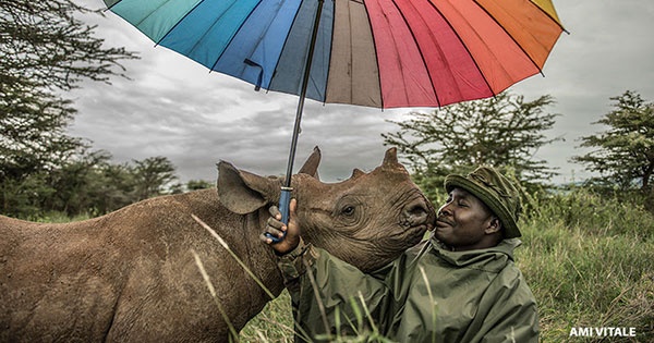 National Geographic Live: Ami Vitale - Photojournalist