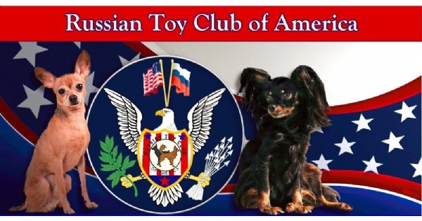 Russian Toy Club of America National Specialty