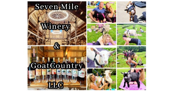 GoatCountry LLC is bringing GOAT YOGA to Seven Mile Winery