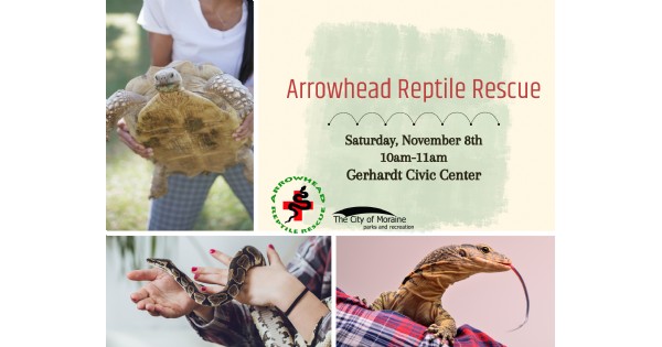 Arrowhead Reptile Rescue