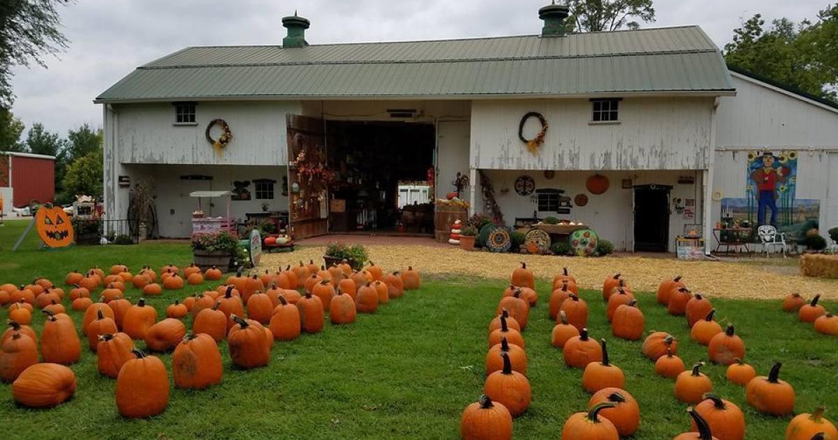 Sizemore Farm - Fall Family Fun