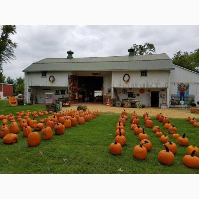 Sizemore Farm - Fall Family Fun