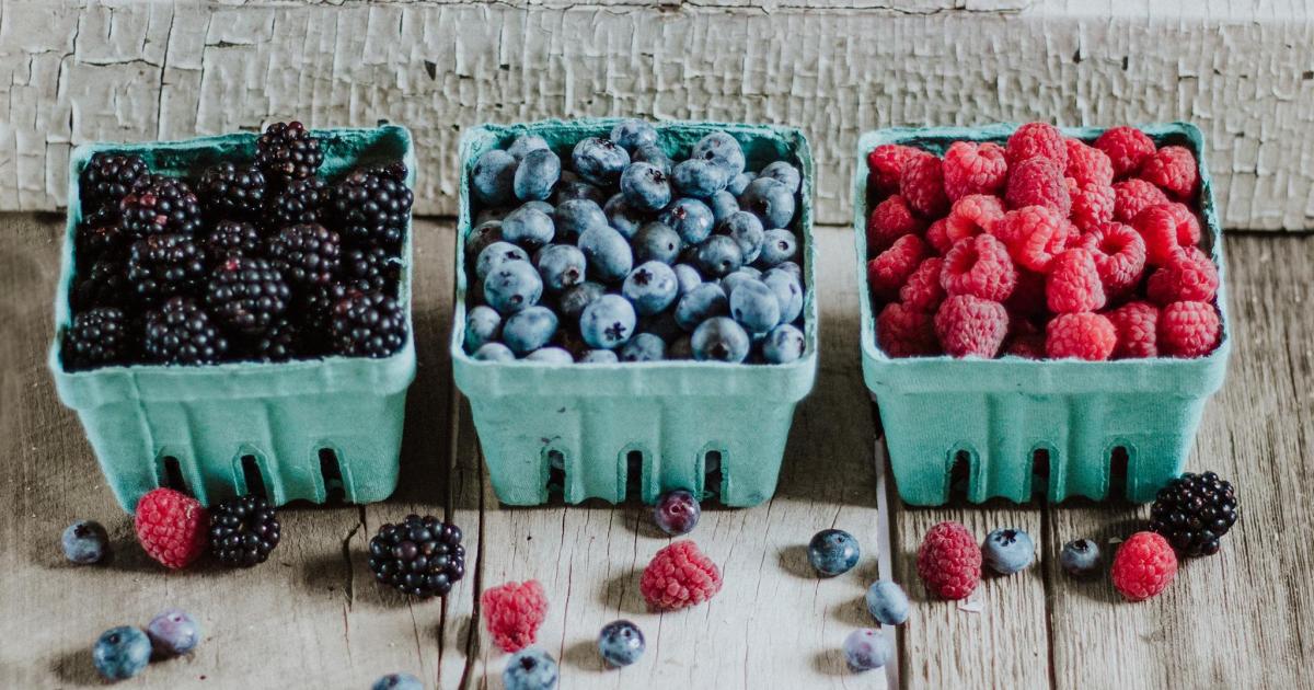 Blueberry Festival at Berryhill Farm