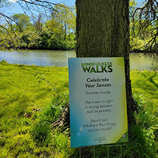 MetroParks announces new Mindfulness Walks