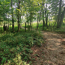 New trails open at Germantown MetroPark