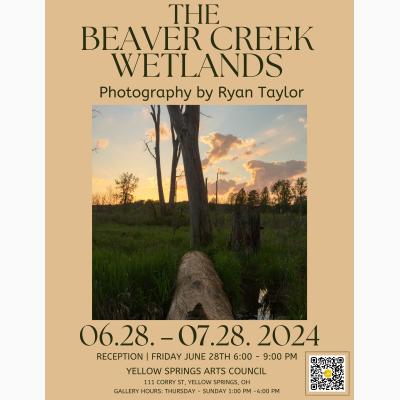 The Beaver Creek Wetlands