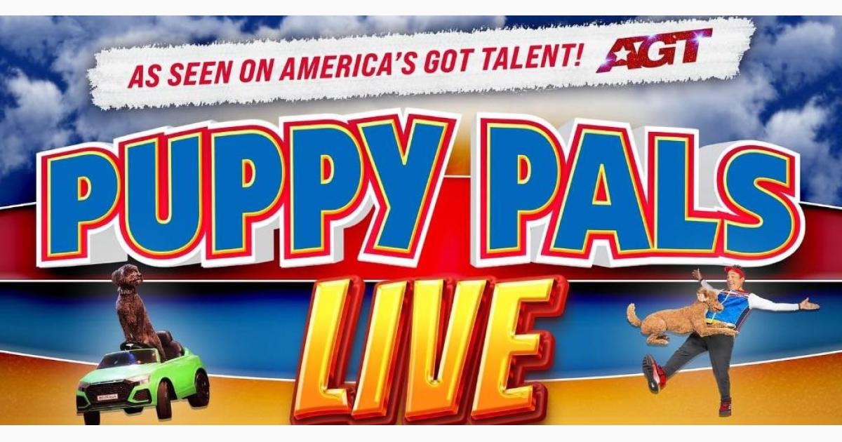 Puppy Pals Live - As seen on America's Got Talent!