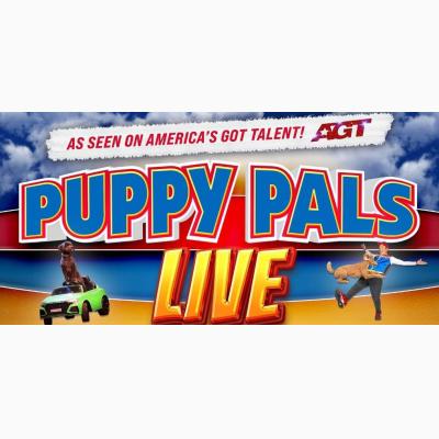 Puppy Pals Live - As seen on America's Got Talent!