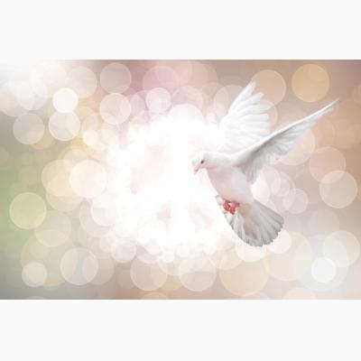 In Praise of Peace - Bach Society of Dayton choral concert