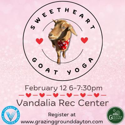 Sweetheart Goat Yoga