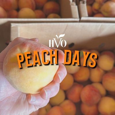 HVO Peach Days Festival