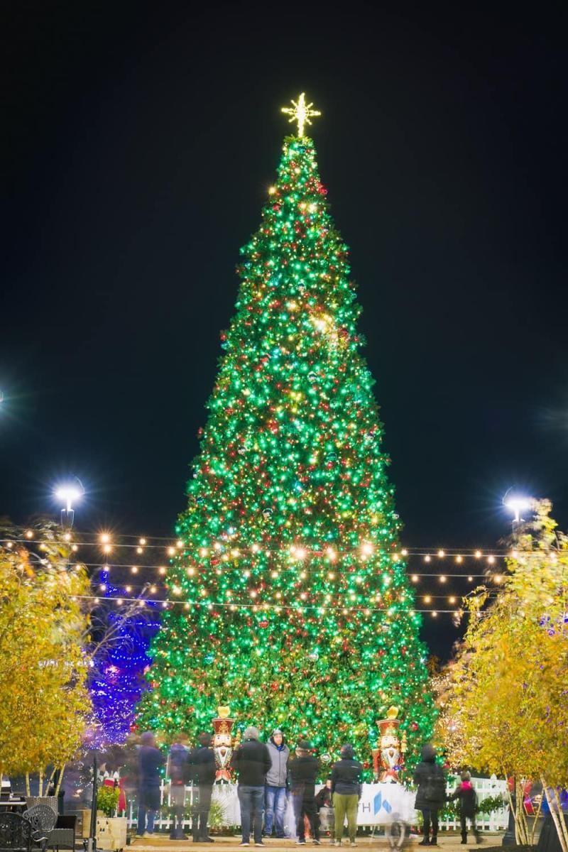 Christmas Tree at Austin Landing