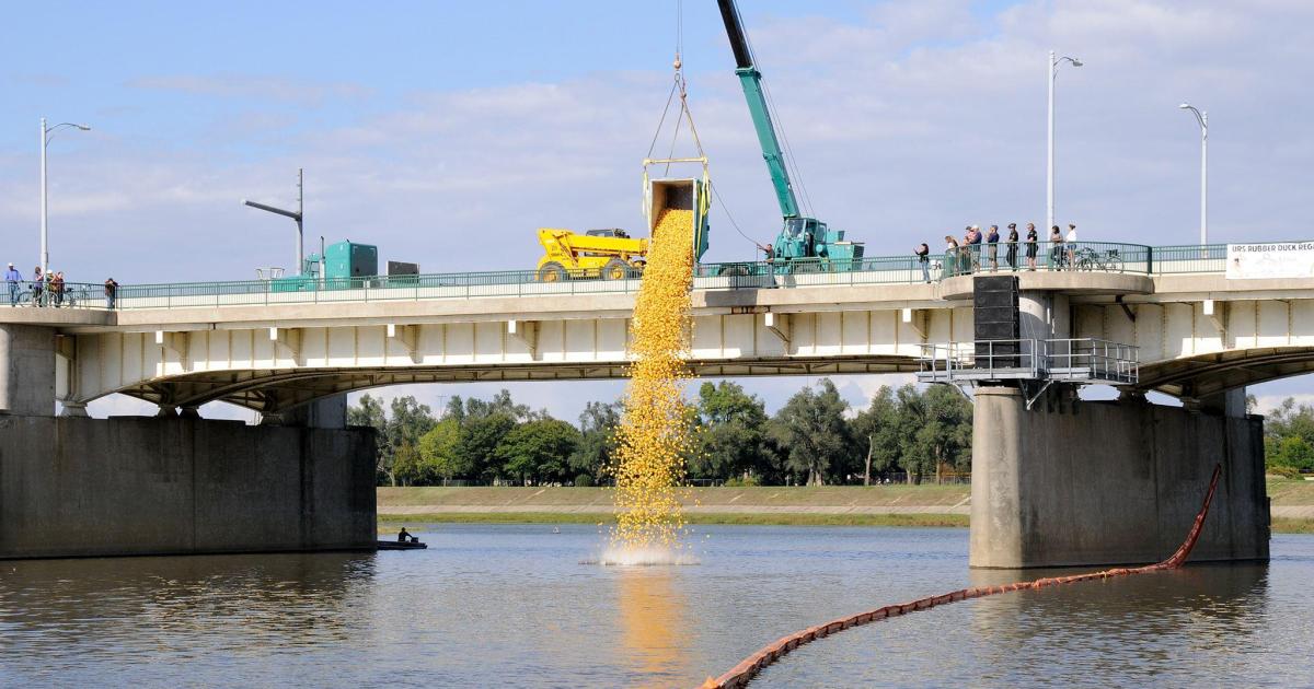 Rubber Duck Regatta in Dayton