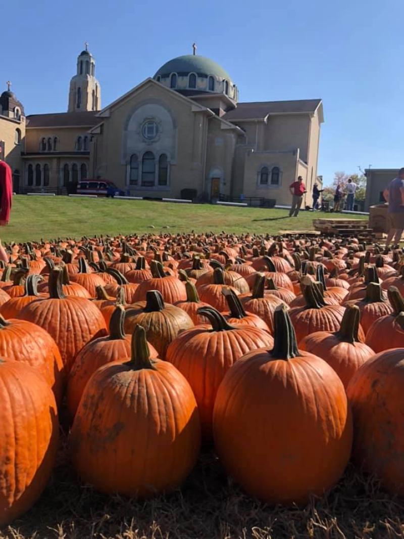 Pumpkins ready for the Glow on Stoddard Ave.