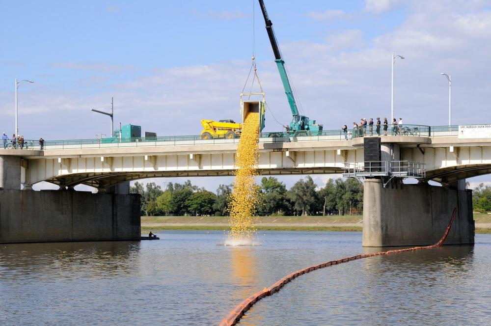 Rubber Duck Regatta in Dayton