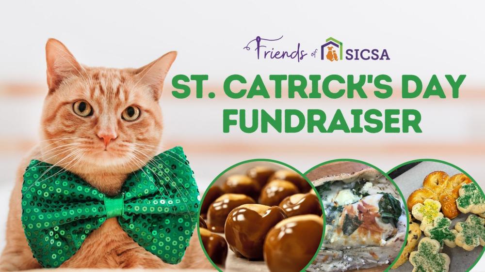 St. Catrick's Day with Friends of SICSA