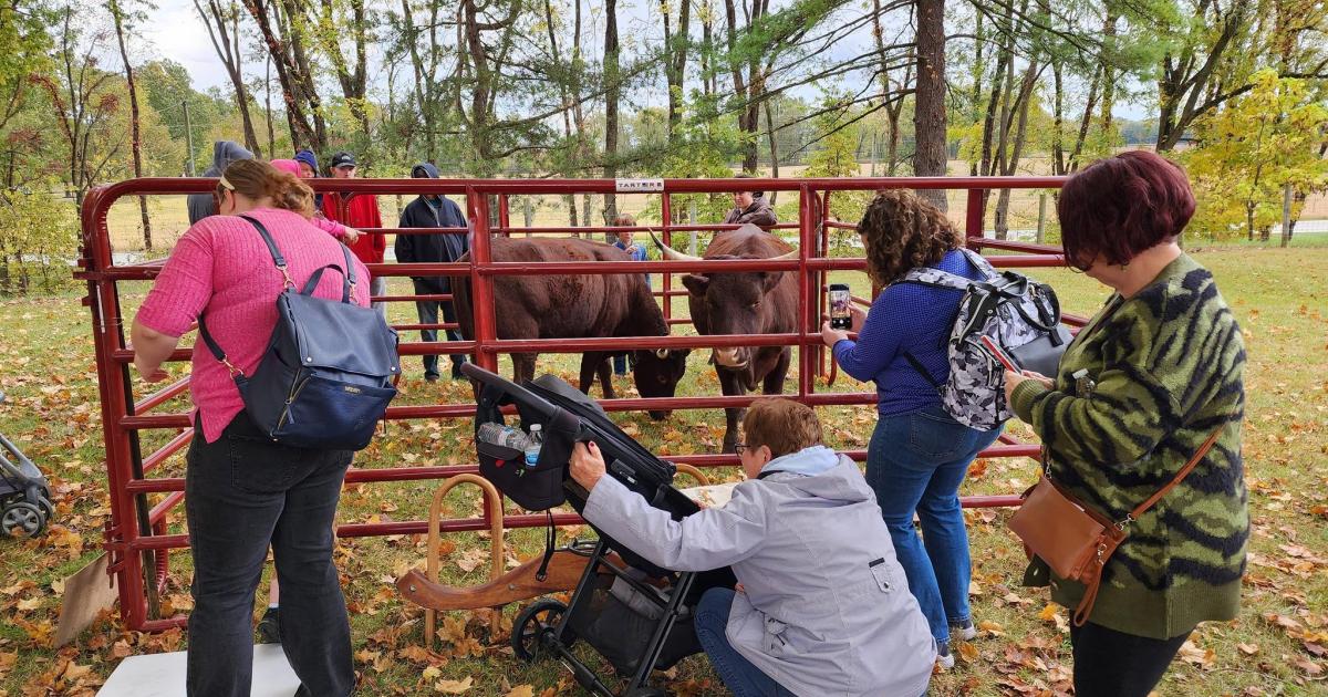 Fall Farm Fest at Lost Creek Reserve